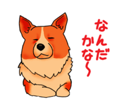 Days suttoko in kogio sticker #317286