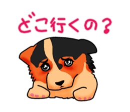 Days suttoko in kogio sticker #317287