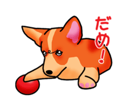 Days suttoko in kogio sticker #317290