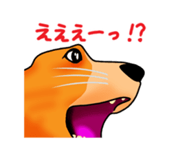 Days suttoko in kogio sticker #317293