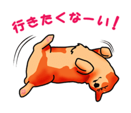 Days suttoko in kogio sticker #317296