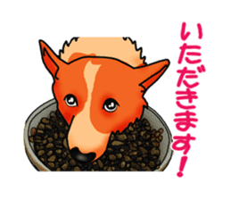 Days suttoko in kogio sticker #317297