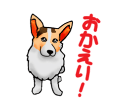 Days suttoko in kogio sticker #317299