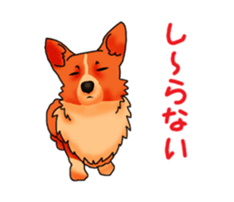 Days suttoko in kogio sticker #317302