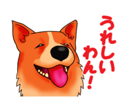 Days suttoko in kogio sticker #317303