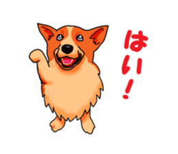 Days suttoko in kogio sticker #317304