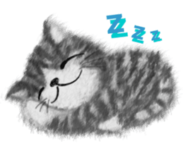 Dearest CAT sama! sticker #317990