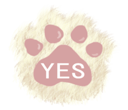 Dearest CAT sama! sticker #318014