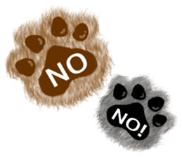 Dearest CAT sama! sticker #318015