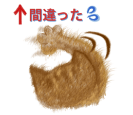 Dearest CAT sama! sticker #318023