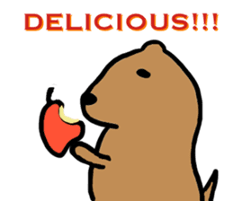 PDOG~Prairie dog~ sticker #323306