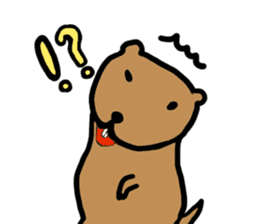 PDOG~Prairie dog~ sticker #323309