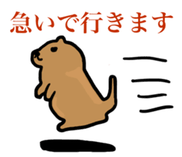 PDOG~Prairie dog~ sticker #323313