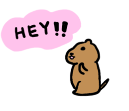 PDOG~Prairie dog~ sticker #323317