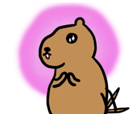 PDOG~Prairie dog~ sticker #323318