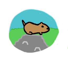 PDOG~Prairie dog~ sticker #323322
