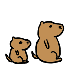 PDOG~Prairie dog~ sticker #323335