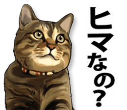 Futaro the cat sticker #324627
