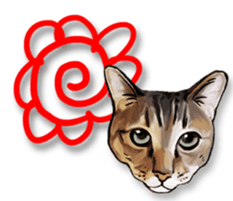 Futaro the cat sticker #324628