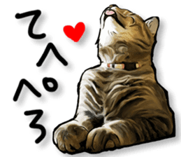 Futaro the cat sticker #324629