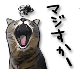 Futaro the cat sticker #324631