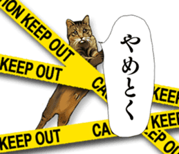 Futaro the cat sticker #324633