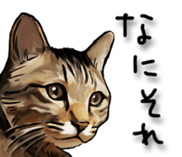 Futaro the cat sticker #324634