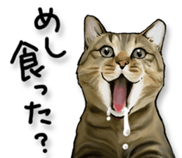 Futaro the cat sticker #324635