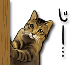 Futaro the cat sticker #324637