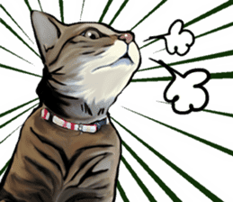 Futaro the cat sticker #324638