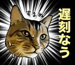 Futaro the cat sticker #324639