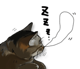Futaro the cat sticker #324640