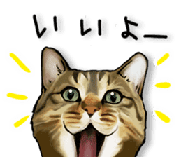 Futaro the cat sticker #324641