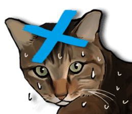 Futaro the cat sticker #324642