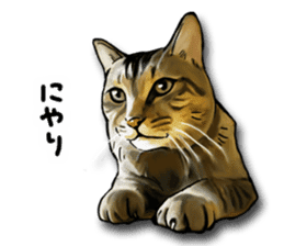 Futaro the cat sticker #324643