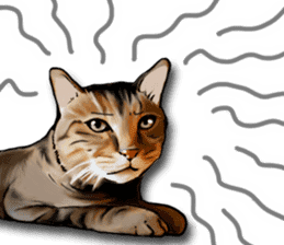 Futaro the cat sticker #324644