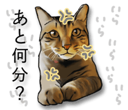 Futaro the cat sticker #324645