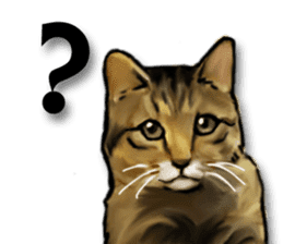 Futaro the cat sticker #324648