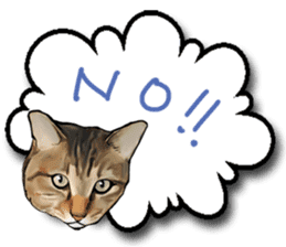 Futaro the cat sticker #324650