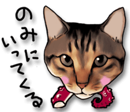 Futaro the cat sticker #324653