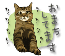 Futaro the cat sticker #324654