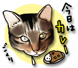 Futaro the cat sticker #324656