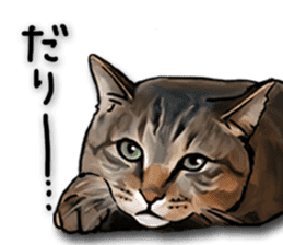 Futaro the cat sticker #324657