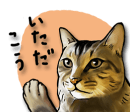 Futaro the cat sticker #324658