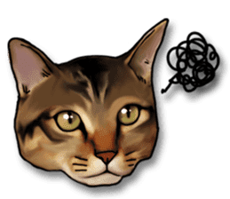 Futaro the cat sticker #324659