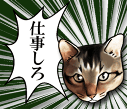Futaro the cat sticker #324660