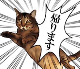 Futaro the cat sticker #324661