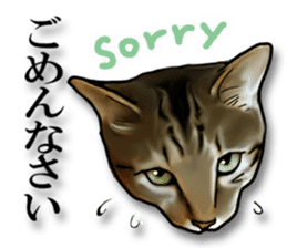 Futaro the cat sticker #324662