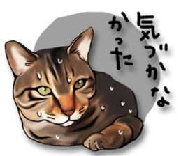 Futaro the cat sticker #324663