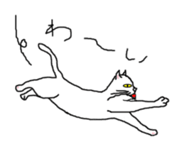 wrote in the mouse "white cat Mimi" sticker #325068
